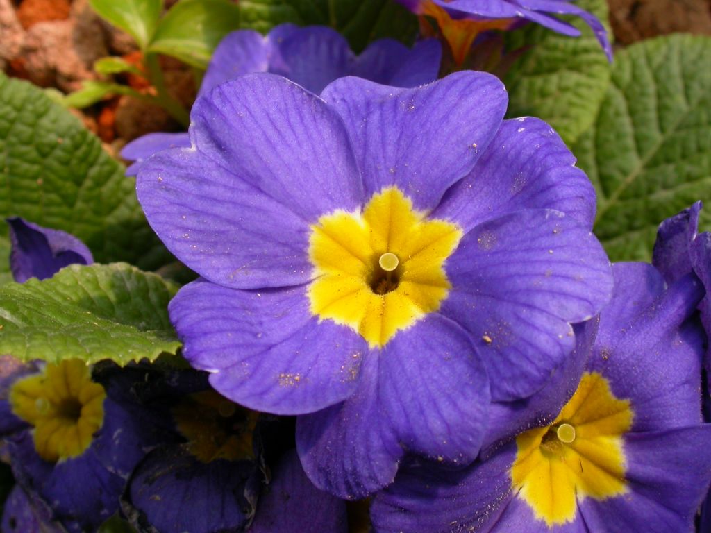 按此在新視窗瀏覽圖片