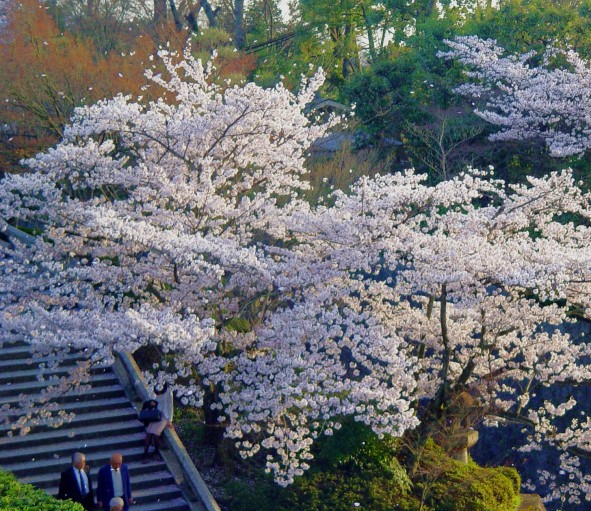 按此在新視窗瀏覽圖片