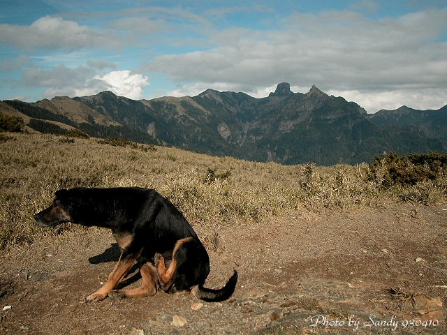 按此在新視窗瀏覽圖片