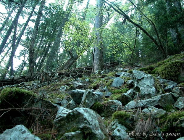 按此在新視窗瀏覽圖片