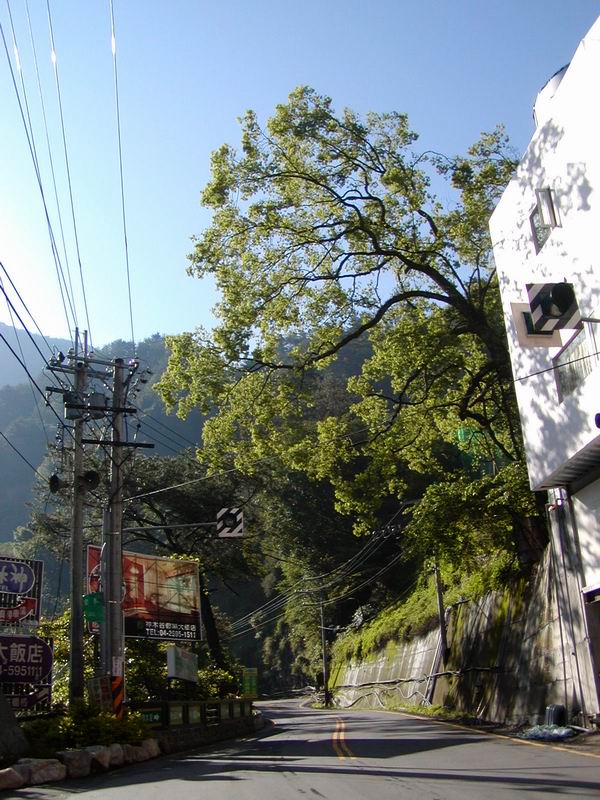 按此在新視窗瀏覽圖片