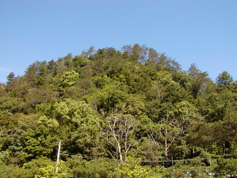 按此在新視窗瀏覽圖片