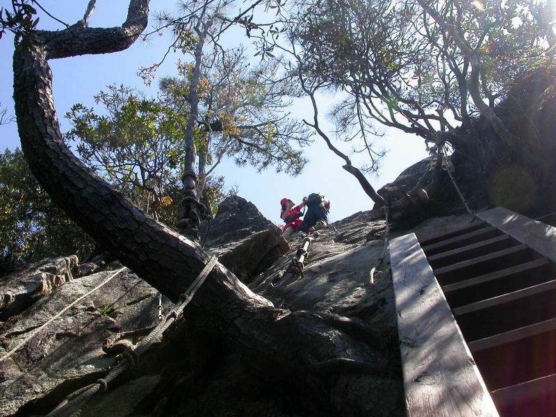 按此在新視窗瀏覽圖片