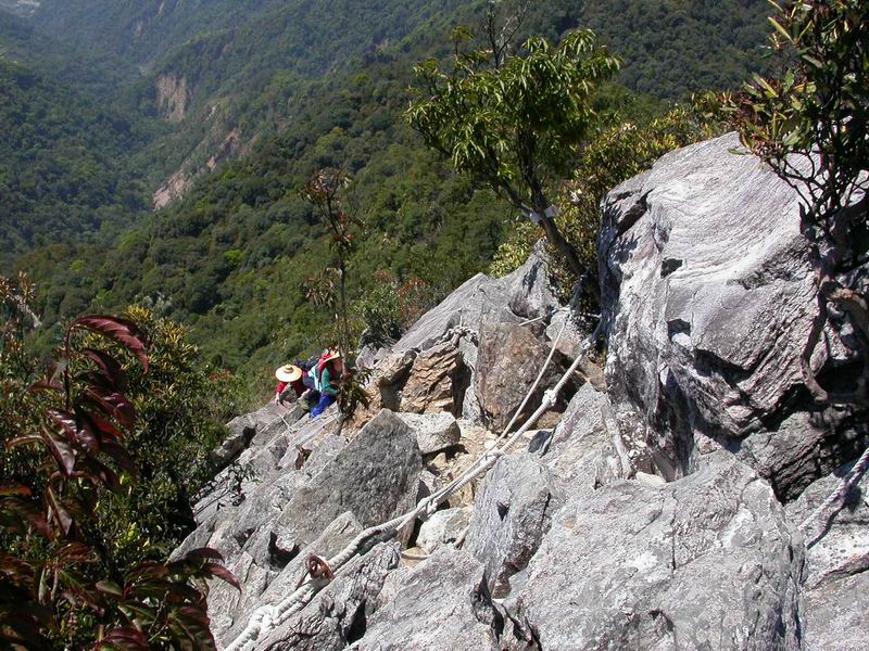 按此在新視窗瀏覽圖片