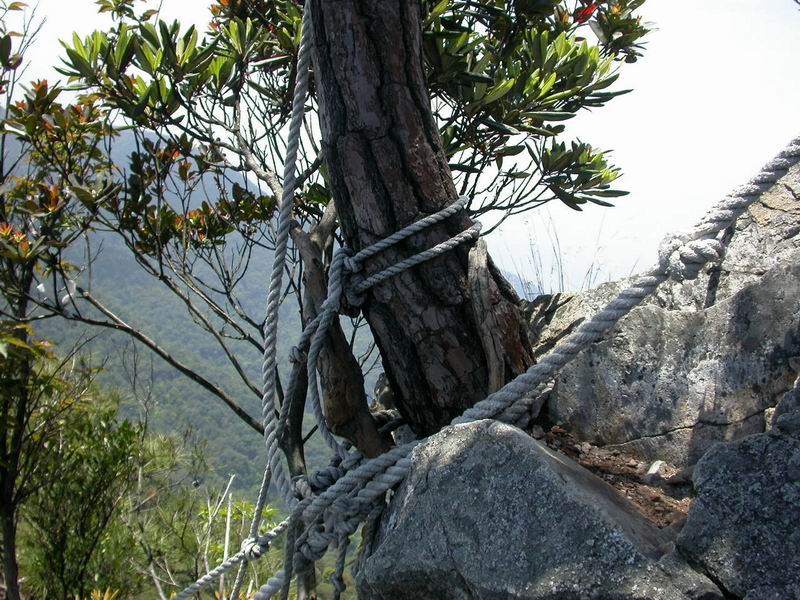 按此在新視窗瀏覽圖片