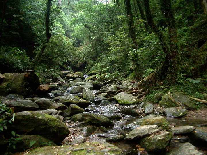 按此在新視窗瀏覽圖片