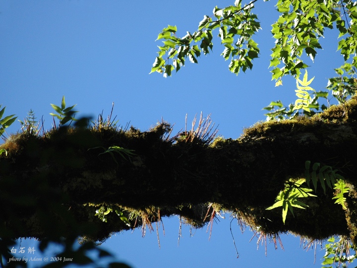 按此在新視窗瀏覽圖片