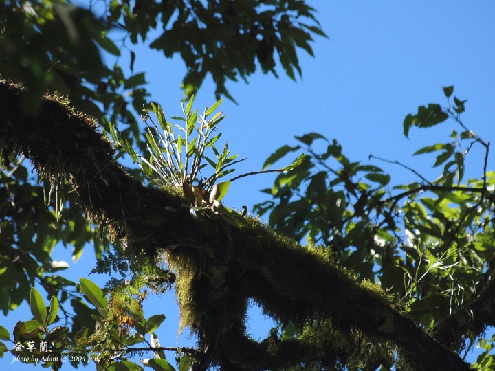 按此在新視窗瀏覽圖片