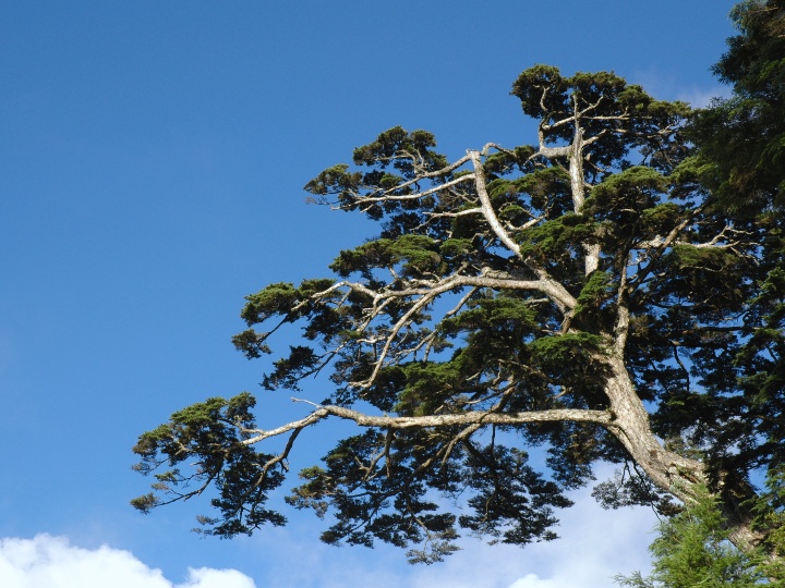 按此在新視窗瀏覽圖片