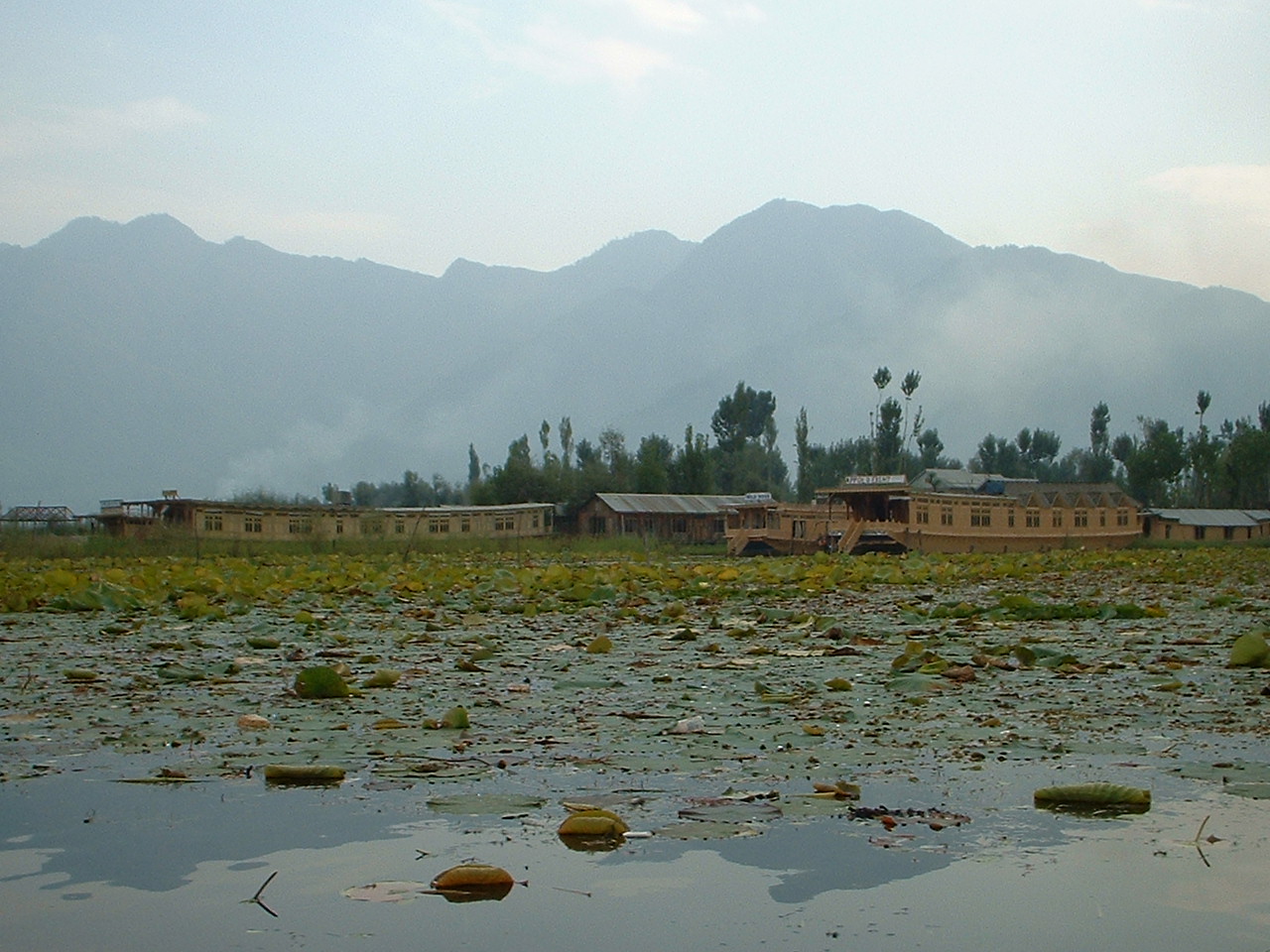 按此在新視窗瀏覽圖片