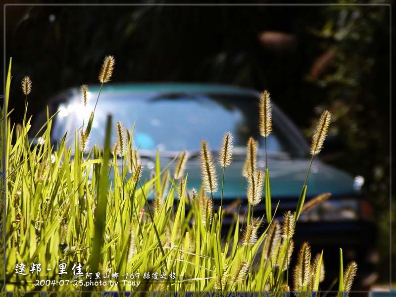 按此在新視窗瀏覽圖片