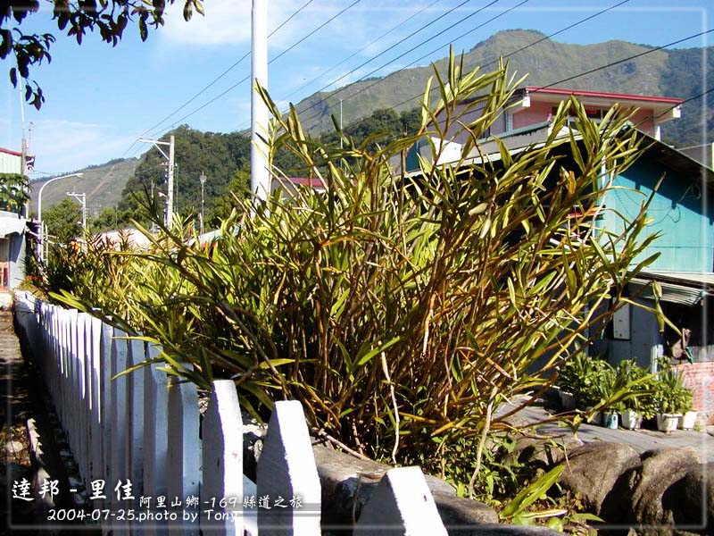 按此在新視窗瀏覽圖片