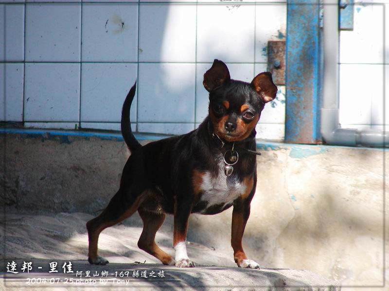 按此在新視窗瀏覽圖片