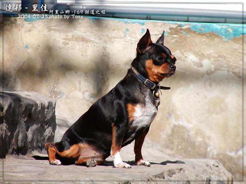 按此在新視窗瀏覽圖片