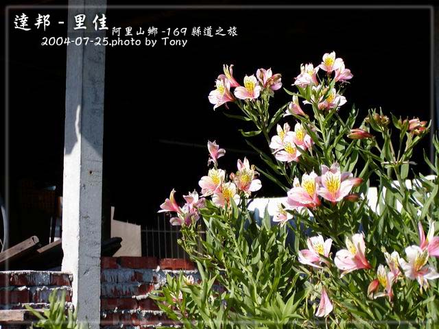 按此在新視窗瀏覽圖片