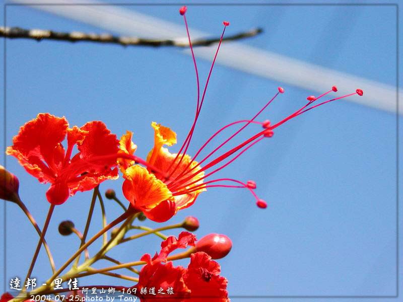 按此在新視窗瀏覽圖片