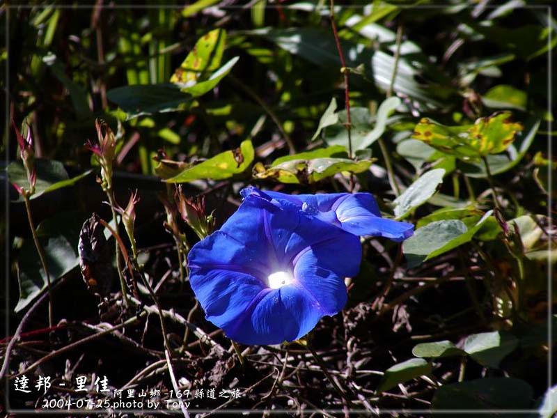 按此在新視窗瀏覽圖片