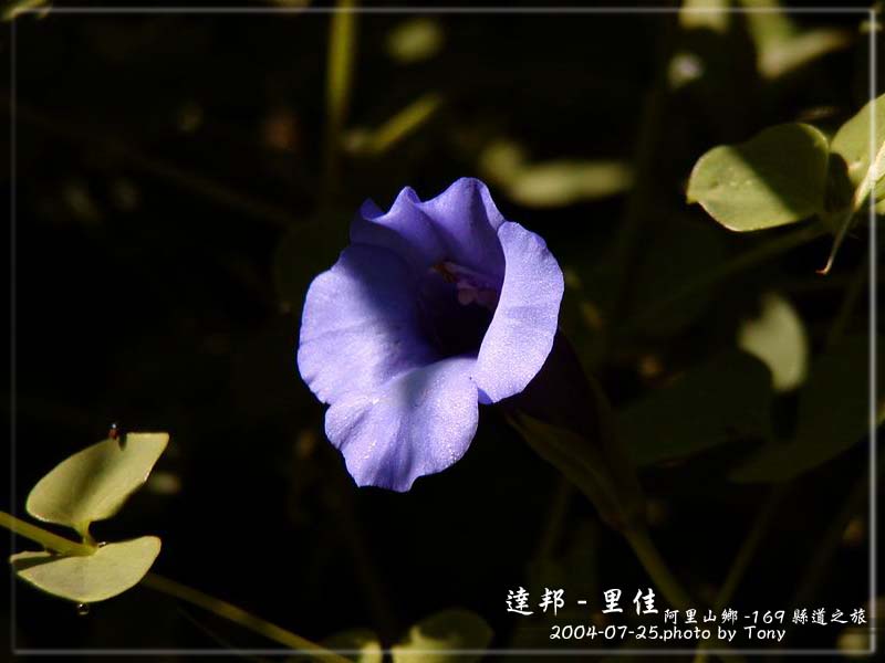 按此在新視窗瀏覽圖片