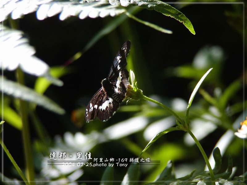 按此在新視窗瀏覽圖片