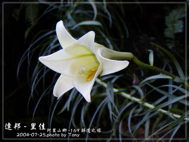 按此在新視窗瀏覽圖片