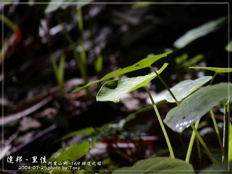 按此在新視窗瀏覽圖片