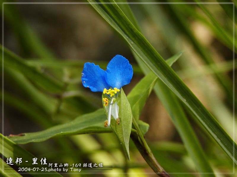按此在新視窗瀏覽圖片