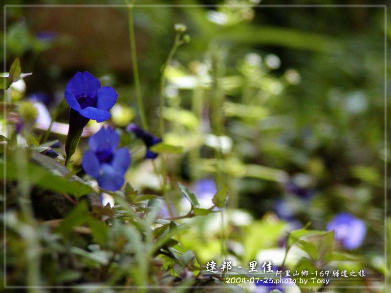 按此在新視窗瀏覽圖片