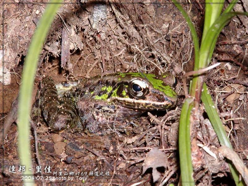 按此在新視窗瀏覽圖片