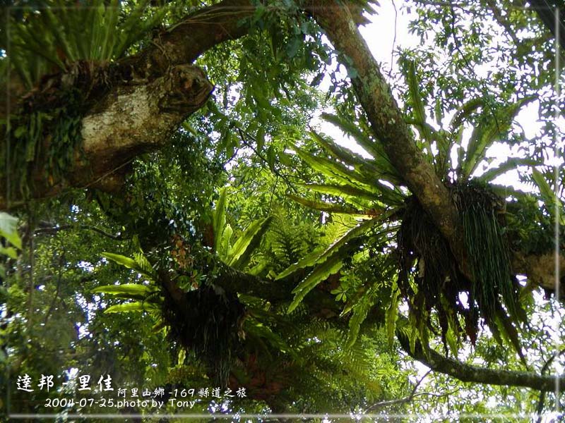 按此在新視窗瀏覽圖片