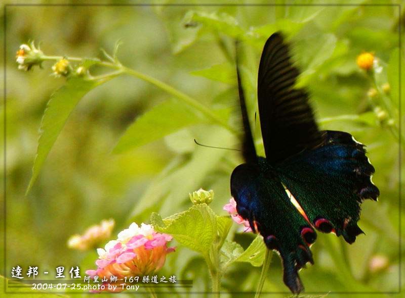 按此在新視窗瀏覽圖片