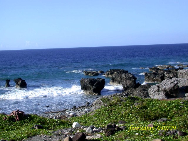 按此在新視窗瀏覽圖片