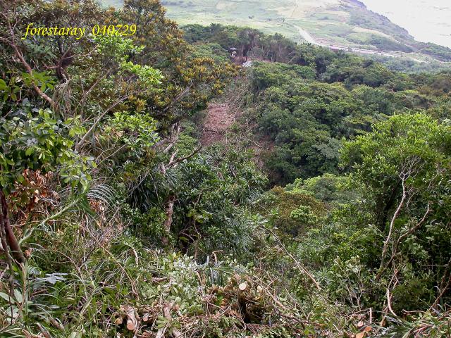 按此在新視窗瀏覽圖片