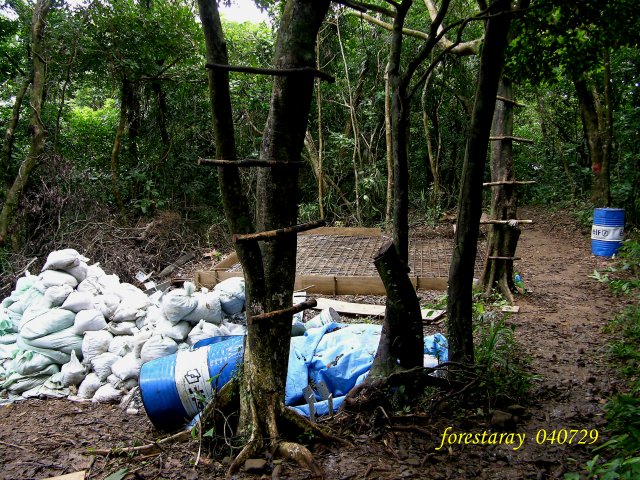 按此在新視窗瀏覽圖片