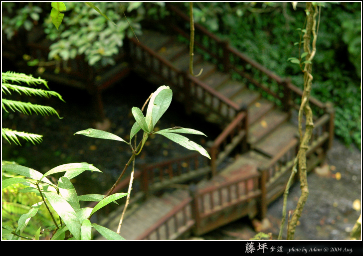 按此在新視窗瀏覽圖片