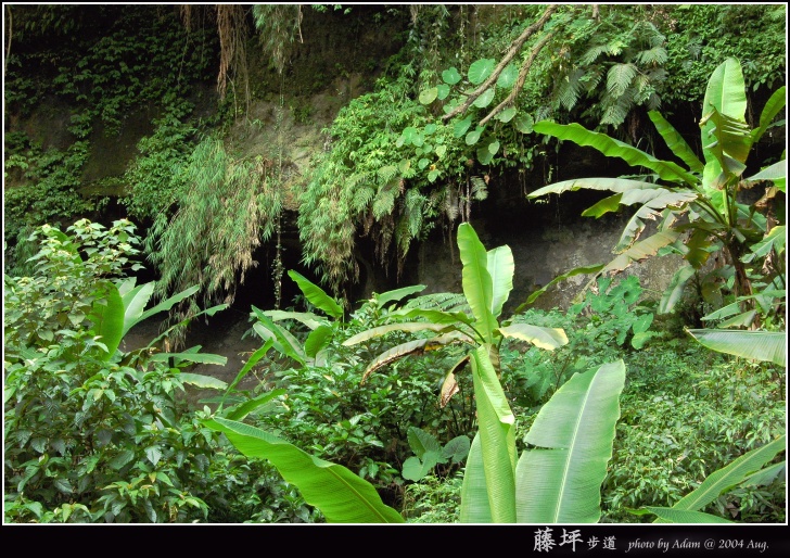 按此在新視窗瀏覽圖片