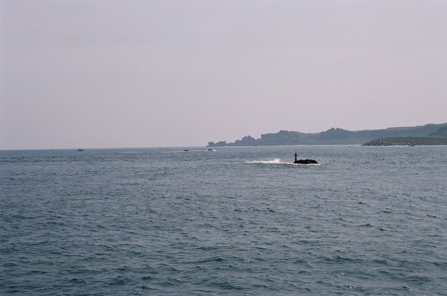 按此在新視窗瀏覽圖片