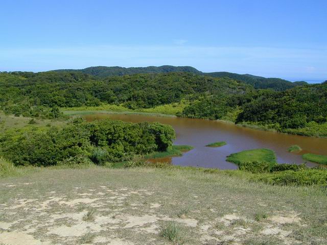 按此在新視窗瀏覽圖片
