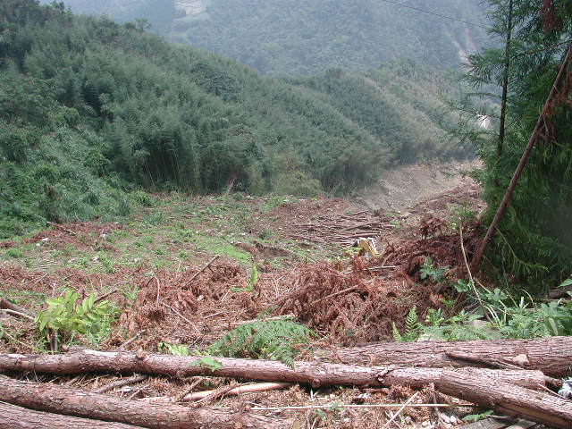 按此在新視窗瀏覽圖片