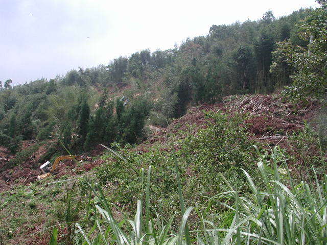 按此在新視窗瀏覽圖片