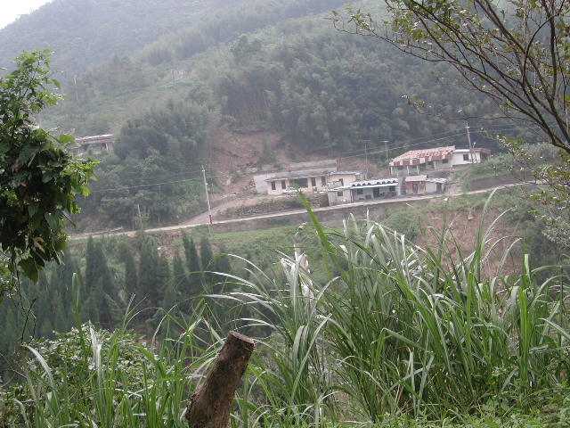 按此在新視窗瀏覽圖片