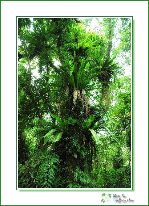 按此在新視窗瀏覽圖片