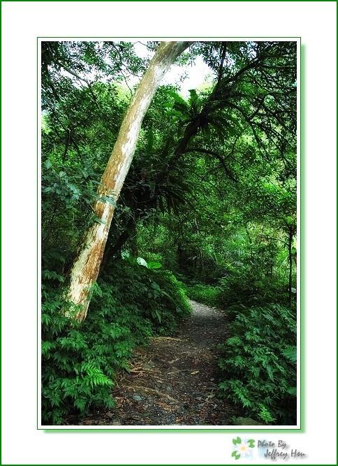 按此在新視窗瀏覽圖片