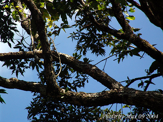 按此在新視窗瀏覽圖片