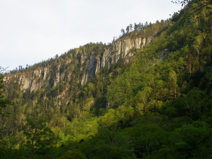 按此在新視窗瀏覽圖片