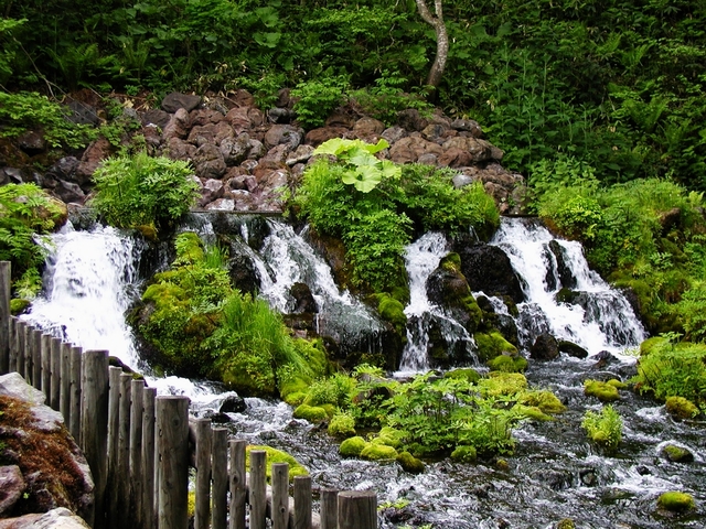 按此在新視窗瀏覽圖片