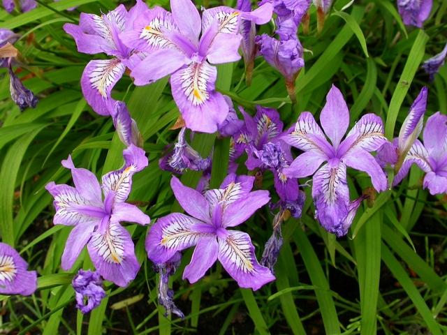 按此在新視窗瀏覽圖片