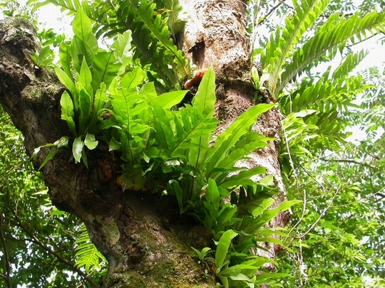 按此在新視窗瀏覽圖片