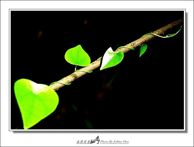 按此在新視窗瀏覽圖片