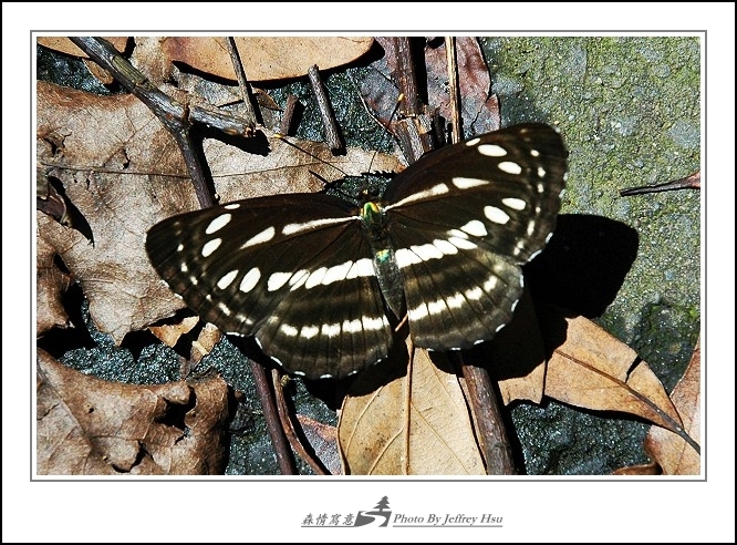 按此在新視窗瀏覽圖片