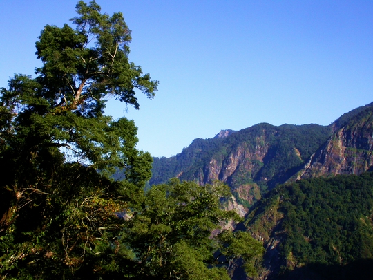 按此在新視窗瀏覽圖片